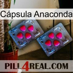 Cápsula Anaconda 14